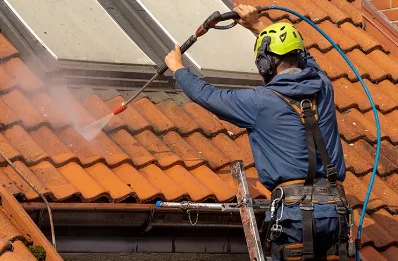 Démoussage et hydrofuge de toiture à Sainte-Verge